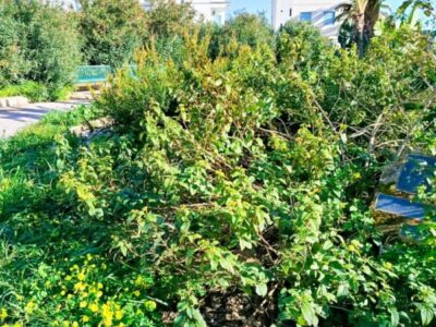Incapace a curare Villa Pertini, il Comune la affida al mago delle pizze